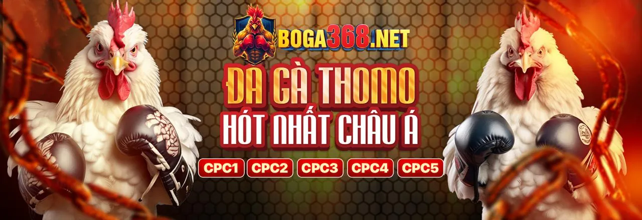 Các phương thức thanh toán an toàn và nhanh chóng cho người chơi cá cược tại Việt Nam
