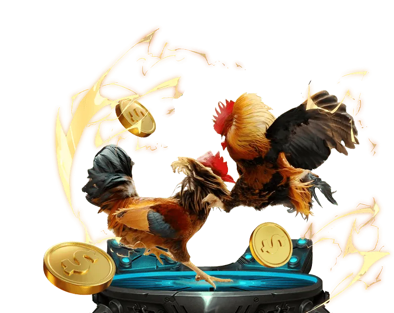 Lịch sử phát triển của đá gà trực tiếp thomo cpc3